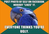 Paranoid Parrot