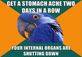 Paranoid Parrot