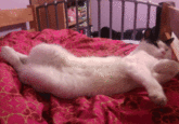 Draw Me Like One of Your French Girls