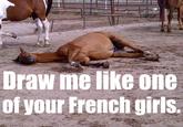 Draw Me Like One of Your French Girls
