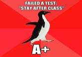 Socially Awesome Penguin