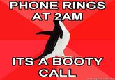 Socially Awesome Penguin