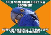 Paranoid Parrot