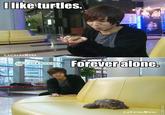 I Like Turtles