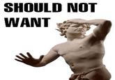 Do Want / Do Not Want