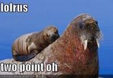 Lolrus