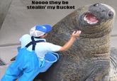 Lolrus
