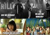 Why Not Both / ¿por qué no los dos?