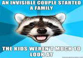 Lame Pun Coon