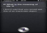 Shit That Siri Says