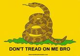 Tea Party Protests