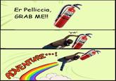 Er Pelliccia