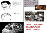 Cats