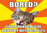 Bad Advice Cat