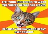 Bad Advice Cat