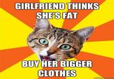 Bad Advice Cat