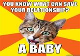 Bad Advice Cat