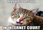 Bad Advice Cat