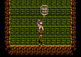 Bio Force Ape