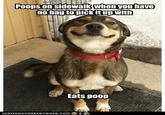Good Dog Greg