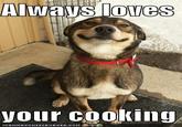 Good Dog Greg