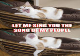 The Song of My People!
