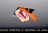 Ceiling Cat