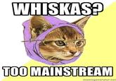 Hipster Kitty