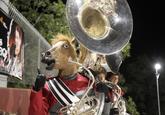 Horse Head Mask