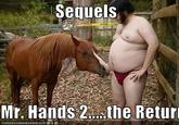 2 Guys 1 Horse / Mr. Hands