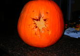 DSCN0398.jpg