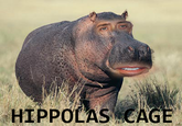 Nicolas Cage