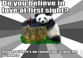 Pickup Line Panda