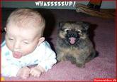 Whassup?