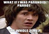 Conspiracy Keanu