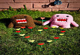 Domo