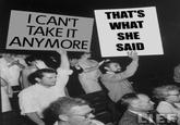 That's What She Said