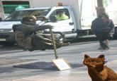Ooh Cat