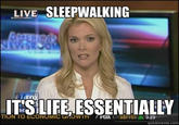 Megyn Kelly Essentially