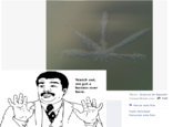 Neil deGrasse Tyson Reaction
