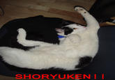 Shoryuken / Hadouken