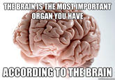 Scumbag Brain