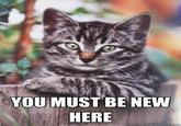 You Must Be New Here