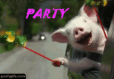 Party Hard