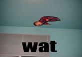 Wat