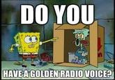 Ted Williams / The Golden Voice