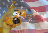 September 11th, 2001 Attacks