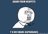 adam2.jpg