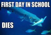 Uber Frosh / College Freshman