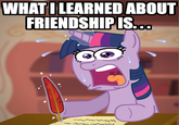 Pony Reactions